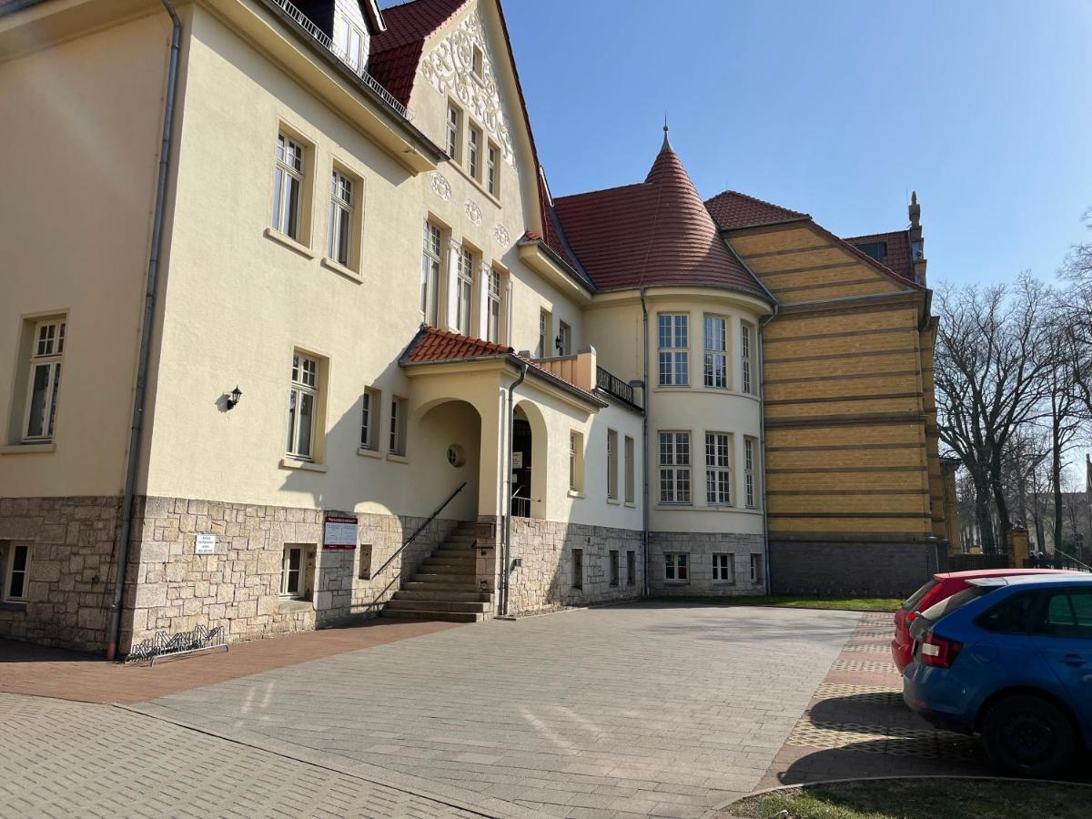 Apartment Zur Wiege Anhalts Ballenstedt Extérieur photo